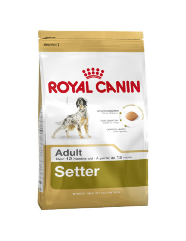 ROYAL CANIN SETTER ADULT 12 KG
