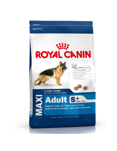 ROYAL CANIN MAXI ADULT 5+ 4 KG
