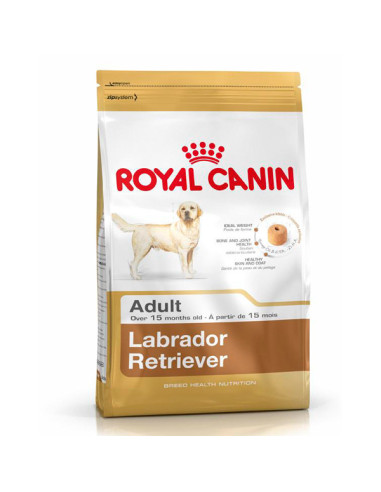 ROYAL CANIN LABRADOR RETRIEVER ADULT 12 KG
