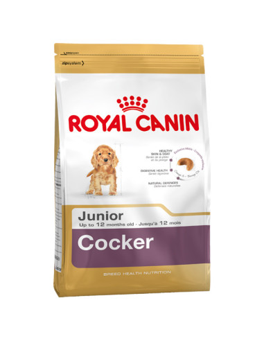 ROYAL CANIN COCKER JÚNIOR 3 KG