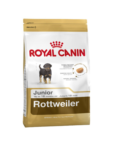 ROYAL CANIN ROTTWEILER JUNIOR 12 KG